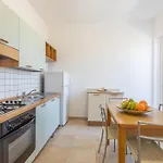 Vela Bianca Pizzo (Salento)